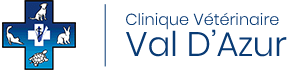 imgi_1_logo